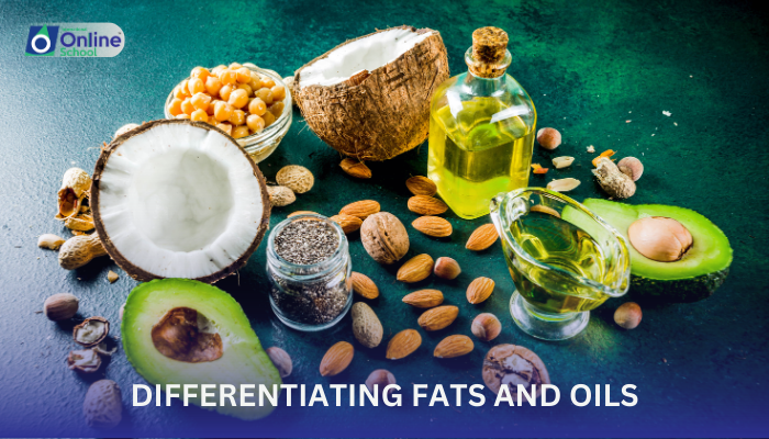 Lesson 04: Differentiating Fats and Oils